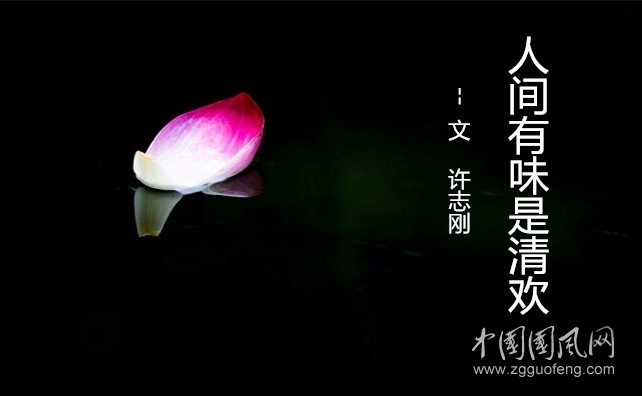  人間有味是清歡（文  許志剛）