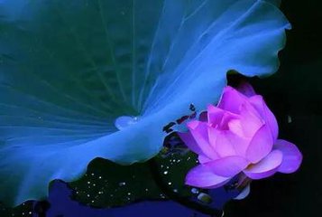 疏遠(yuǎn)你的人就讓他疏遠(yuǎn)吧，別問為什么！