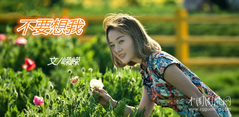 不要想我（文/嶸嶸）