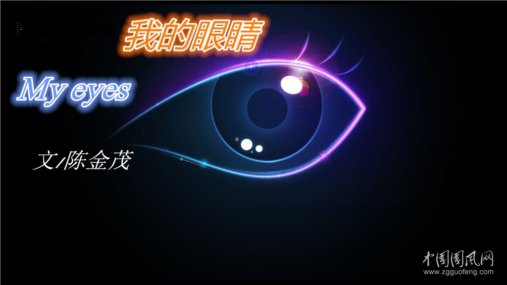  我的眼睛（文/陳金茂）