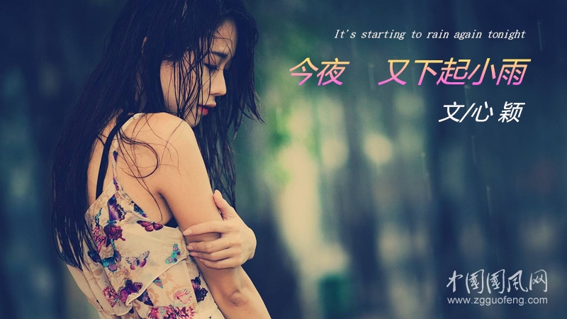 今夜又下起小雨( 文/心 穎)