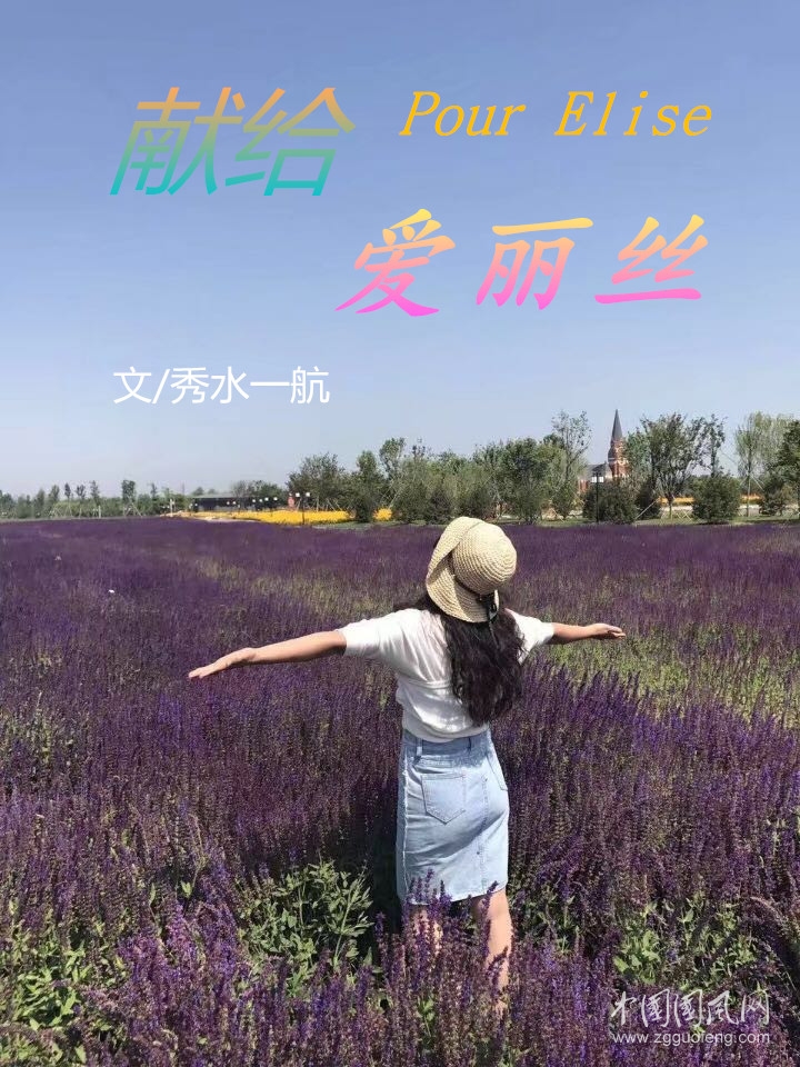 獻(xiàn)給愛麗絲(文/秀水一航)