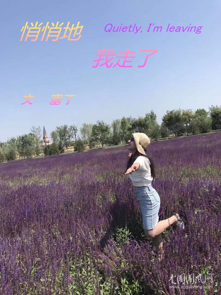  悄悄地  我走了（文  塞?。? style=
