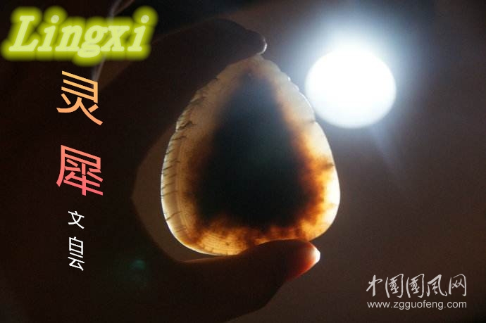  靈 犀(外一首）（文  白 云）