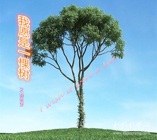  我愿是一棵樹(shù)（文/謝依夢(mèng)）