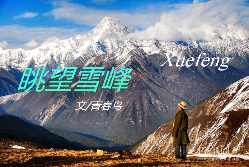  眺望雪峰（文/青春鳥(niǎo)）