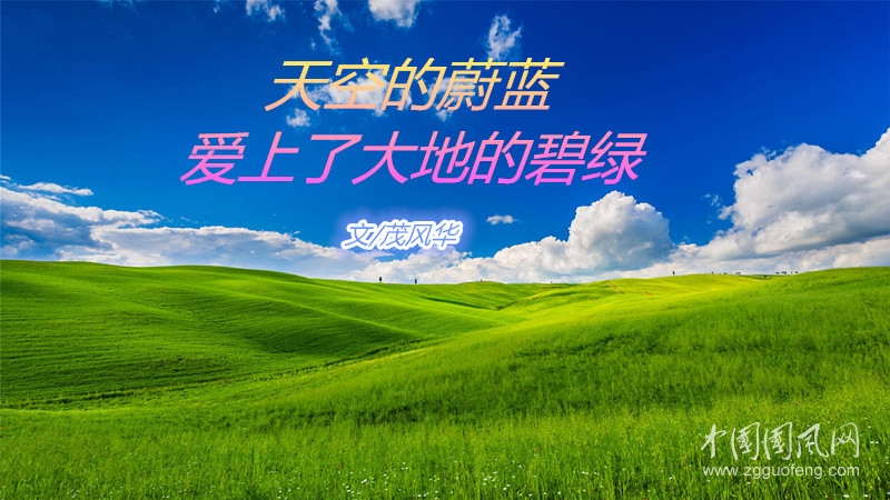  天空的蔚藍  愛上了大地的碧綠（文/茂風華）