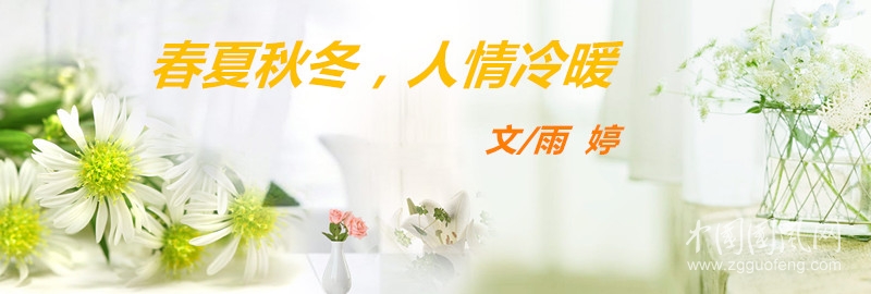  春夏秋冬，人情冷暖（文/雨婷）