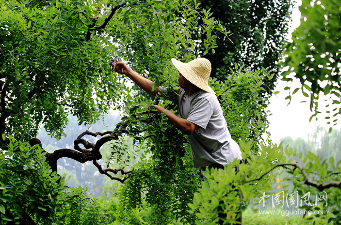 塞丁現(xiàn)代體詩歌集《曾經(jīng)的那一朵茉莉》連載之（10）