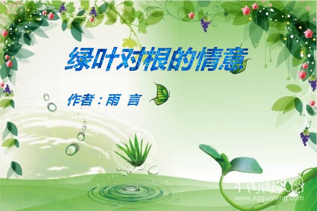 綠葉對根的情意（作者：雨言）