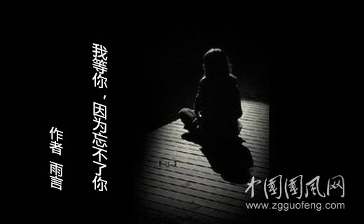我等你，因為忘不了你（   作者:雨言）