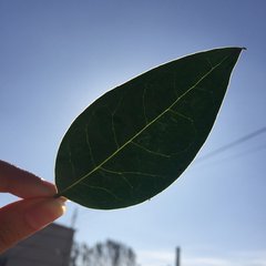 沒有窮死的，只有懶死的