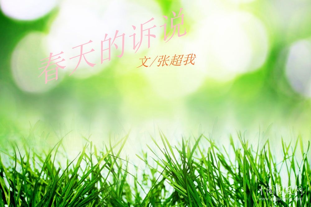 春天的訴說（文  張超我）