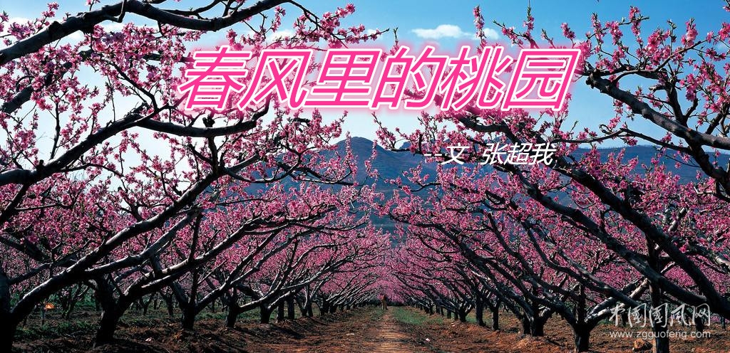春風(fēng)里的桃園（文  張超我）