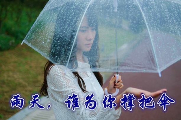 漫步四季，優(yōu)雅從容