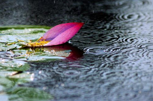 在這個難舍難分的雨季