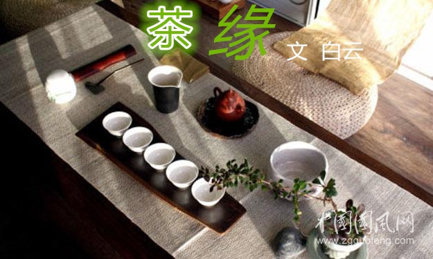 茶& 緣  （文   白云）