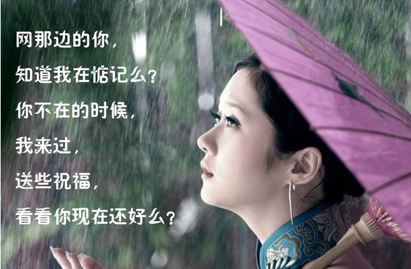 思念的朋友