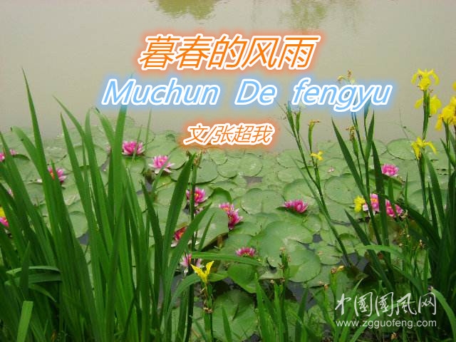  暮春的風(fēng)雨（文/張超我）