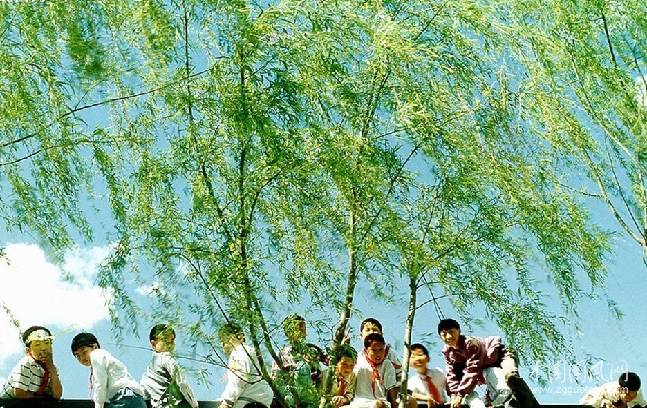 童年，美好的記憶    （作者：白云）