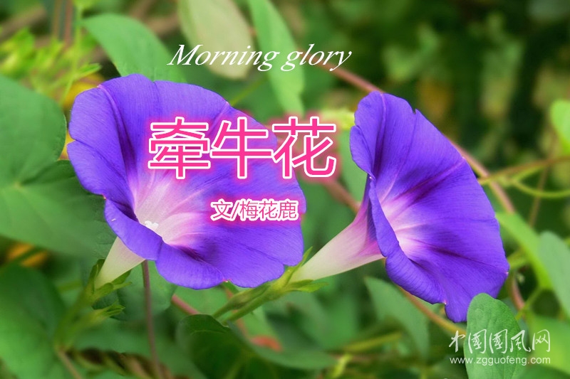 牽?；?jpg