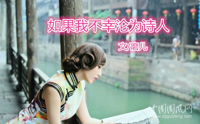  如果我不幸淪為詩(shī)人（文/磨兒）