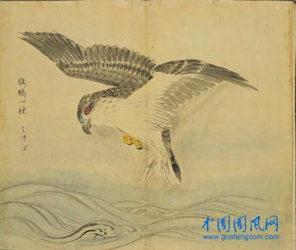 _ShiJing_雎鳩.jpg