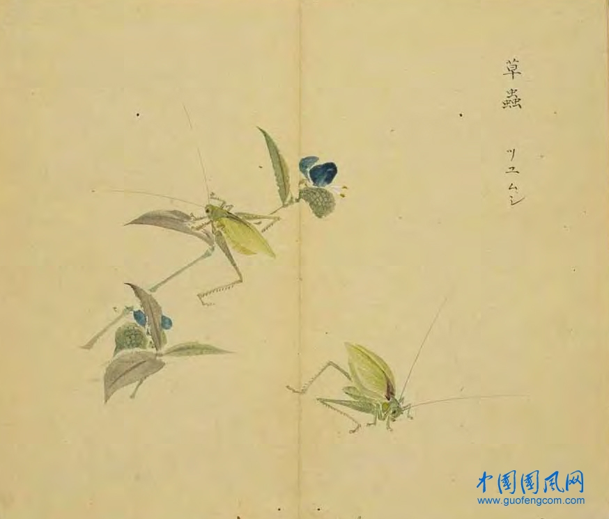 _ShiJing_草蟲.jpg