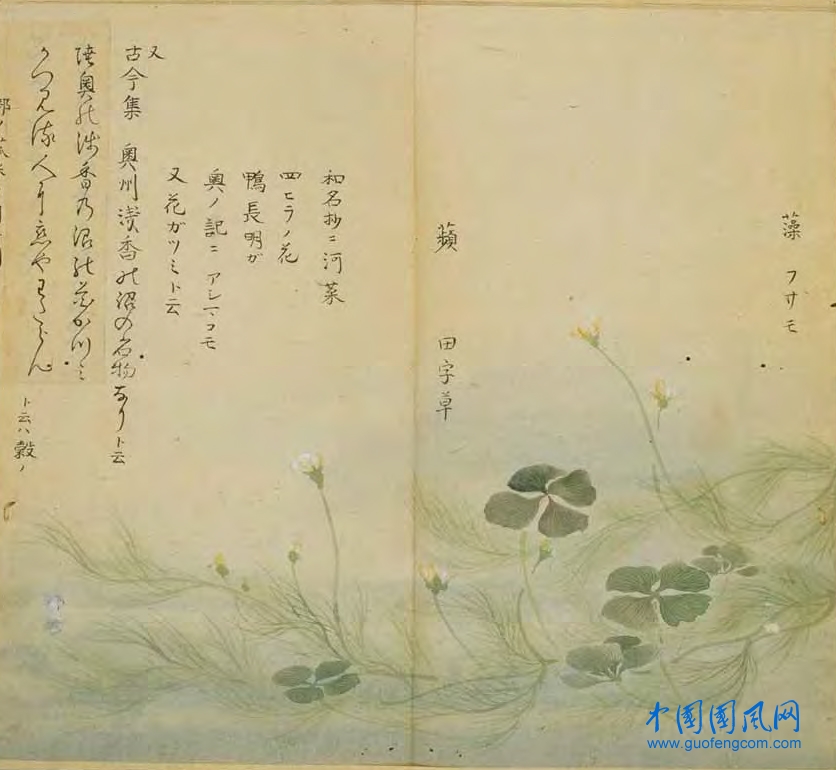 _ShiJing_蘋 藻.jpg