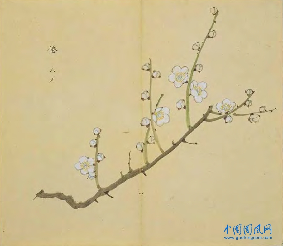_ShiJing_梅.jpg