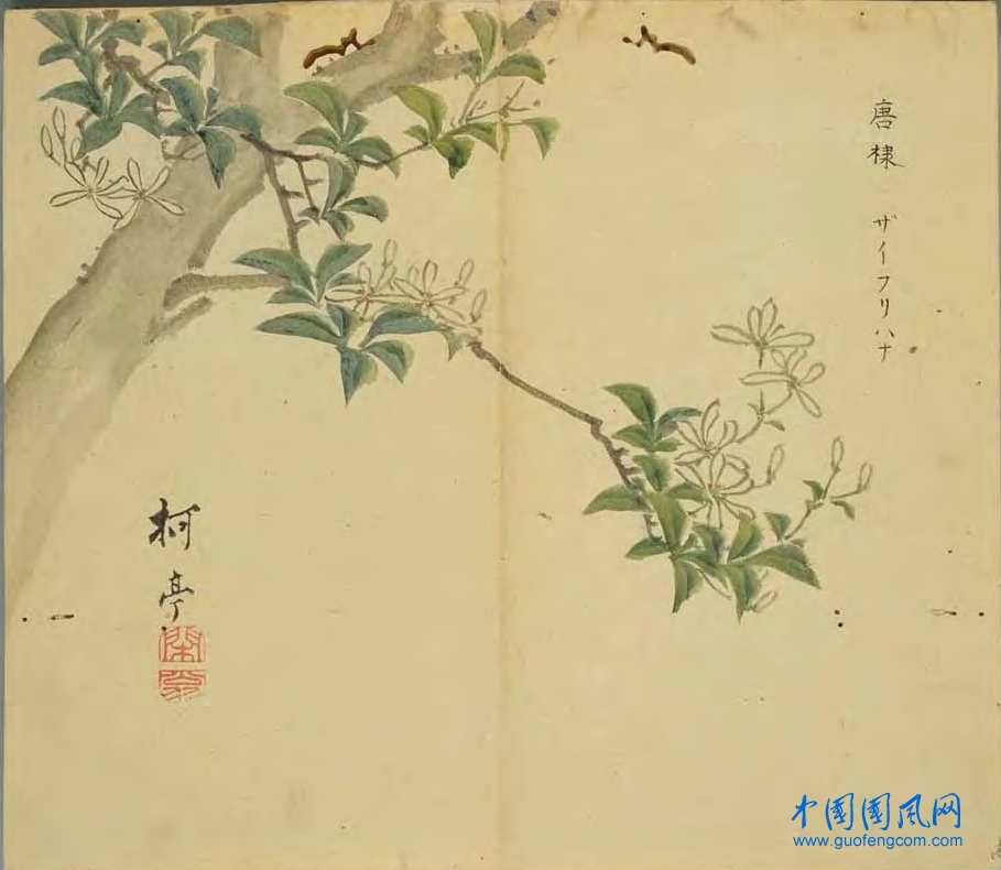_ShiJing_唐棣.jpg