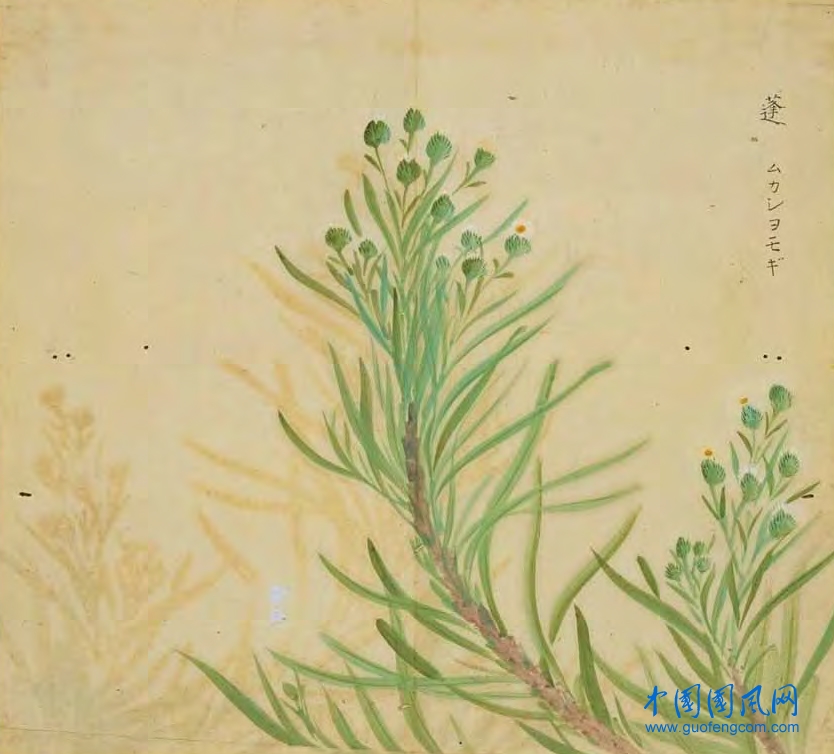 _ShiJing_蓬.jpg