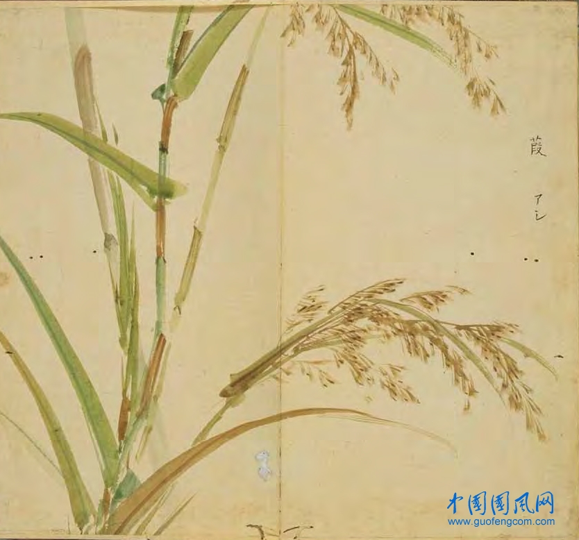 _ShiJing_葭.jpg