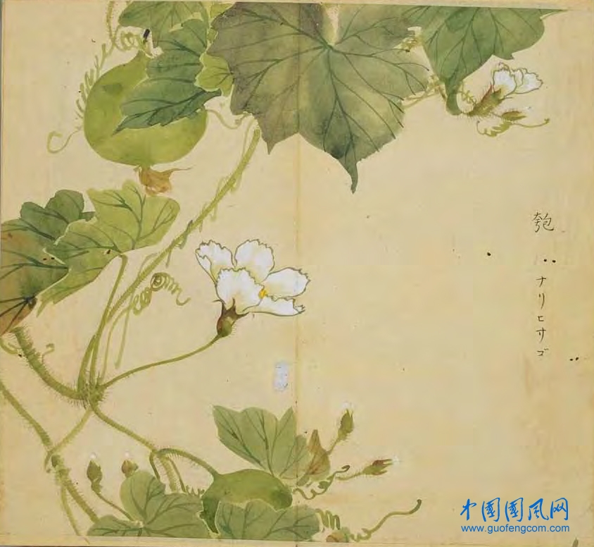 _ShiJing_匏.jpg