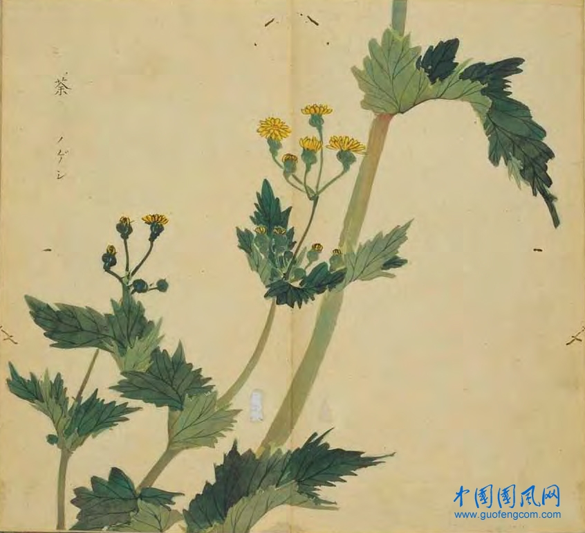 _ShiJing_荼.jpg