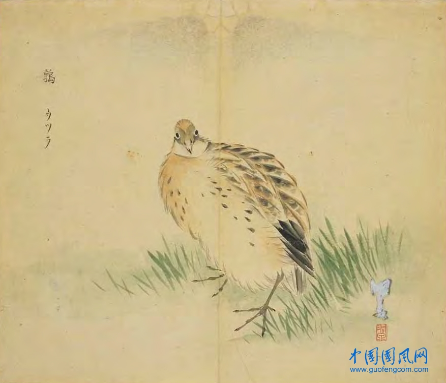 _ShiJing_鶉.jpg
