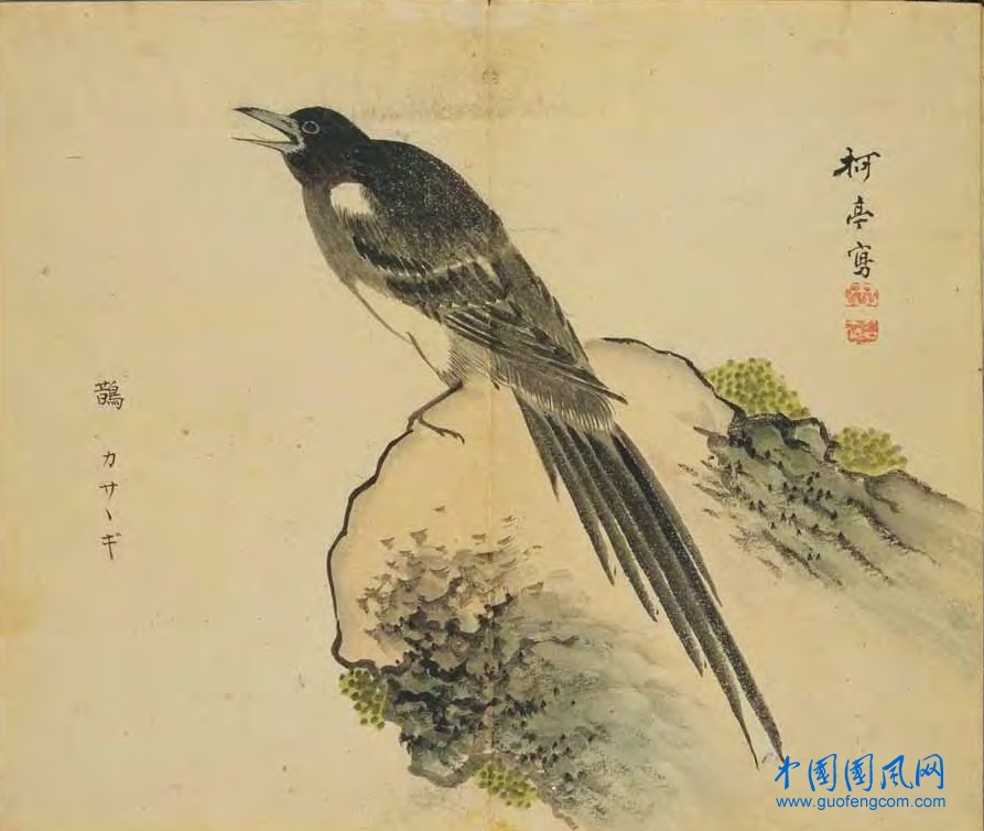 _ShiJing_鵲.jpg
