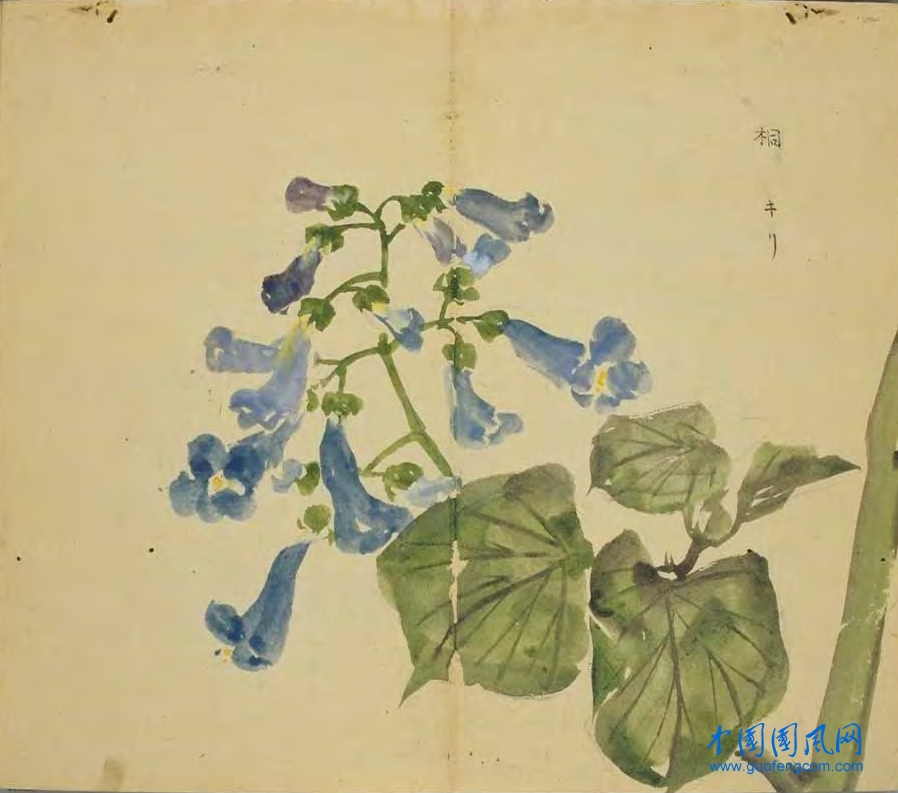 _ShiJing_桐.jpg