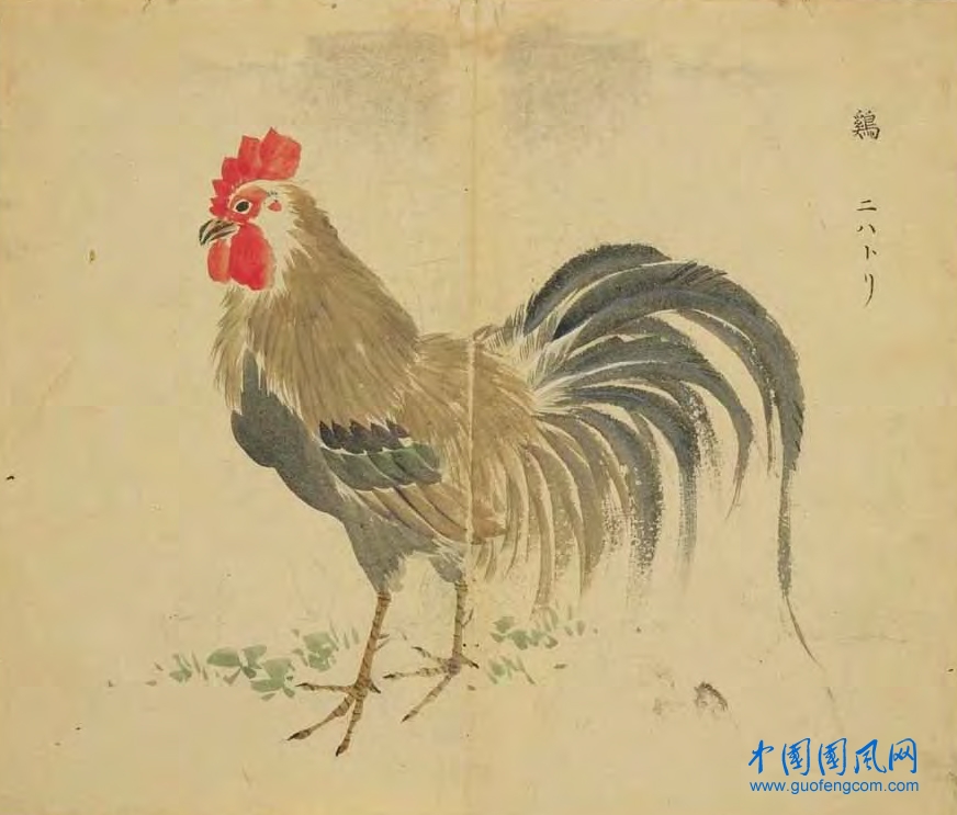 _ShiJing_雞.jpg