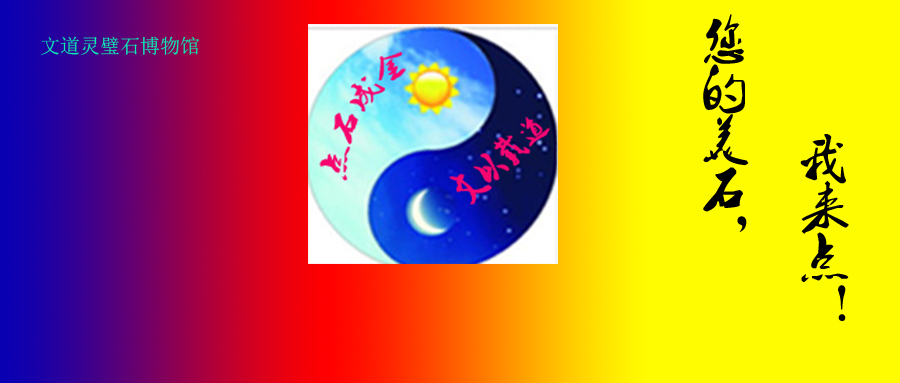 封面900383.jpg