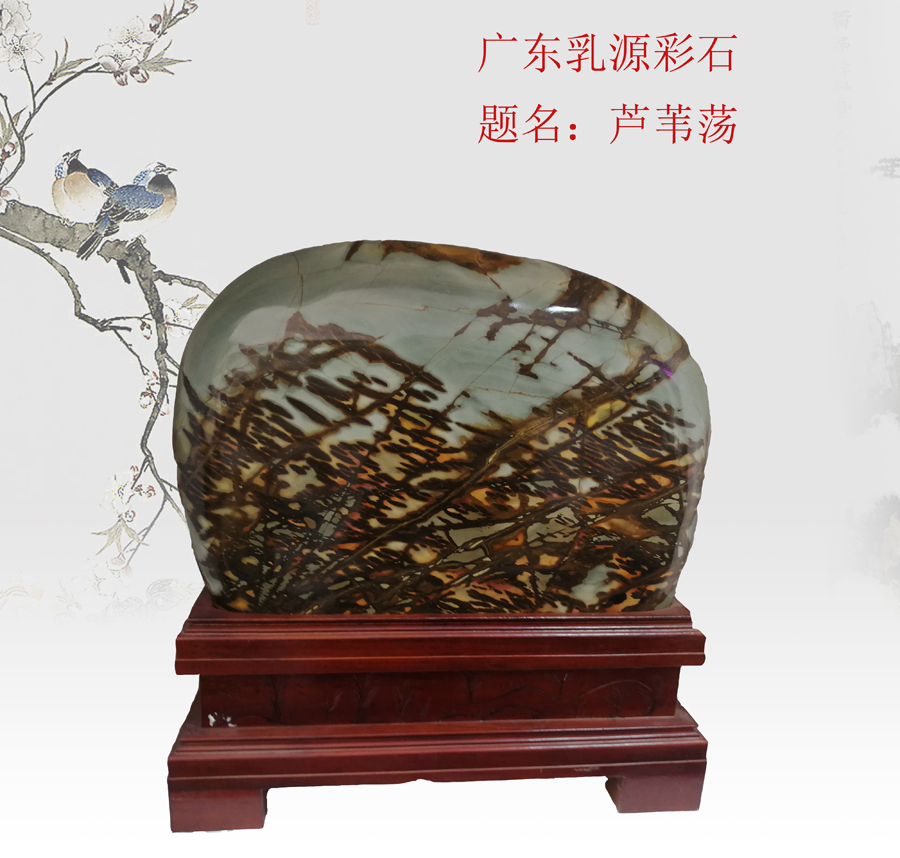 蘆葦蕩.jpg