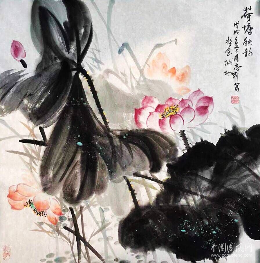 QQ圖片20181227191529.jpg