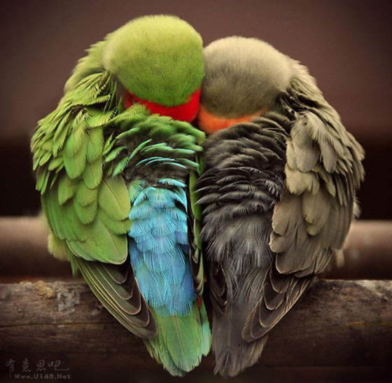 來自有意思吧（www.u148.net）