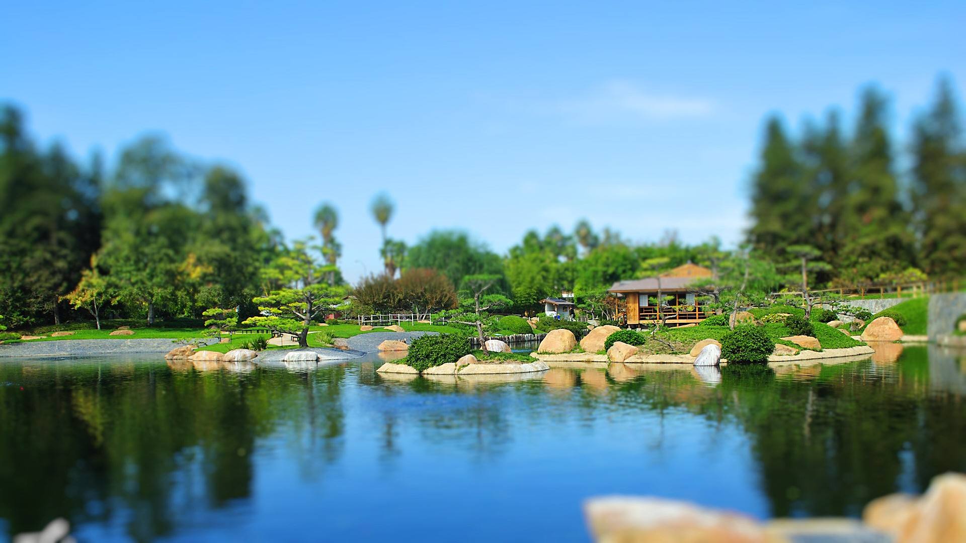 美麗風(fēng)景