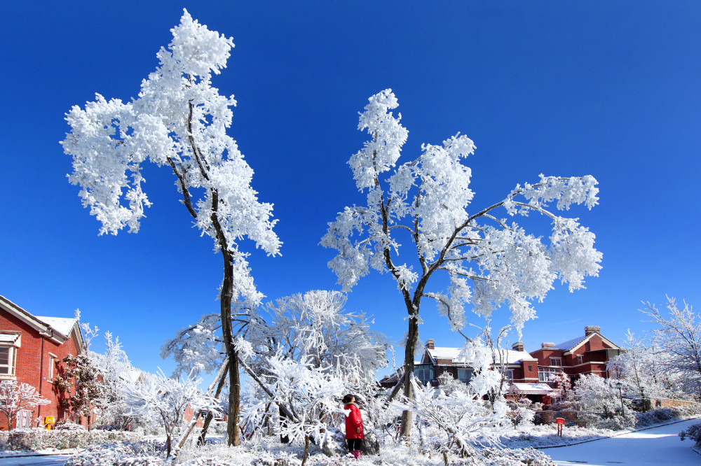 2018“最佳視?界”：燃情冰雪