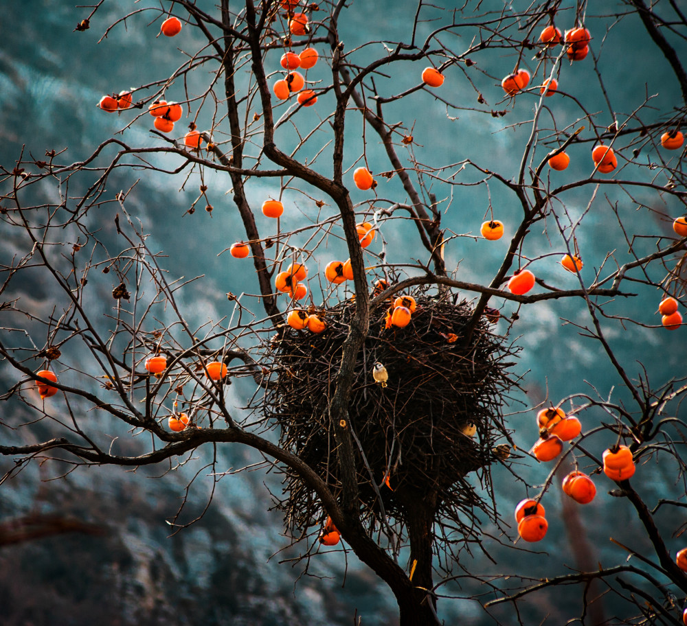 愛(ài)拍征集：秋日私語(yǔ)系列攝影