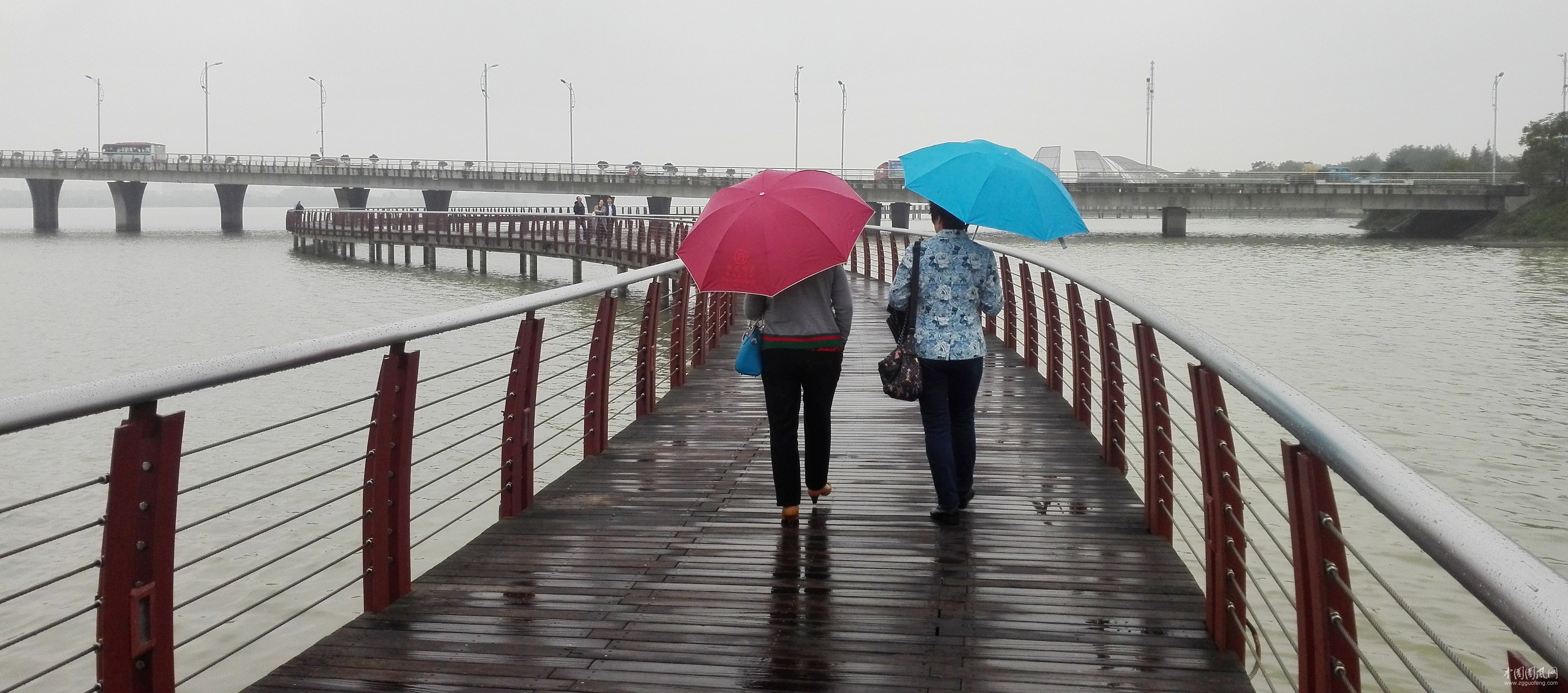 細雨 佳麗 棧橋.jpg