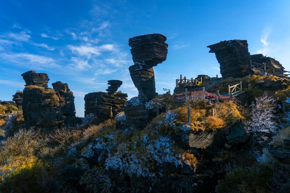 愛(ài)拍征集：冬日之約系列