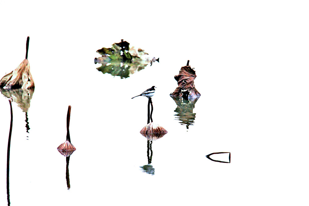 90.jpg
