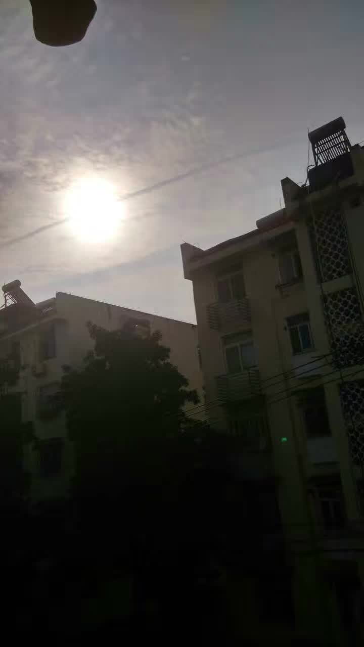 暮秋的太陽